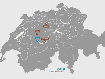 Durchführungsstandort Goldswil